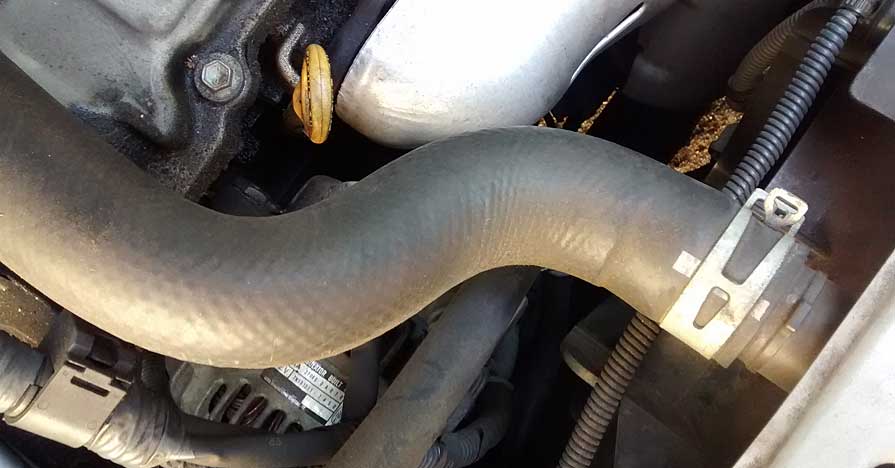 Coolant  hose