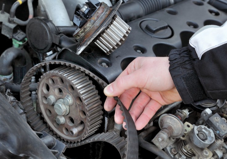 22. Timing Belt vs Serpentine Belt2